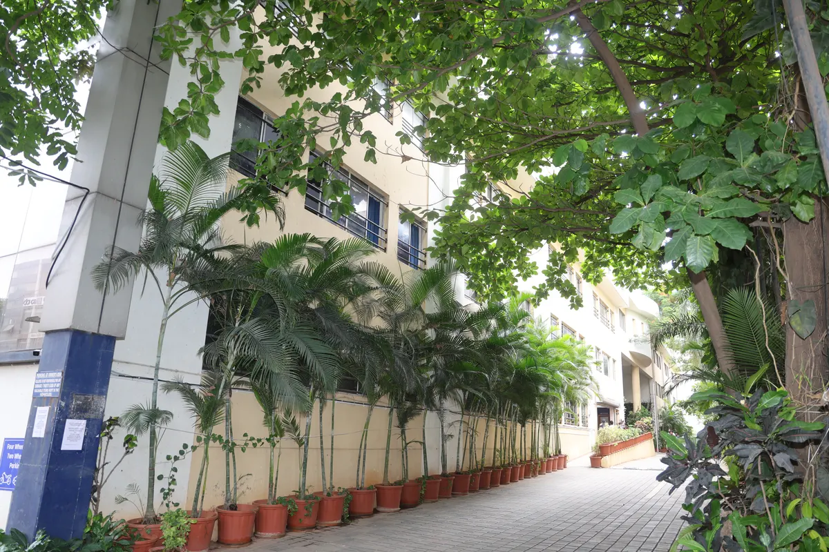 A shaded walkway beside the college building, lined with trees and potted plants.